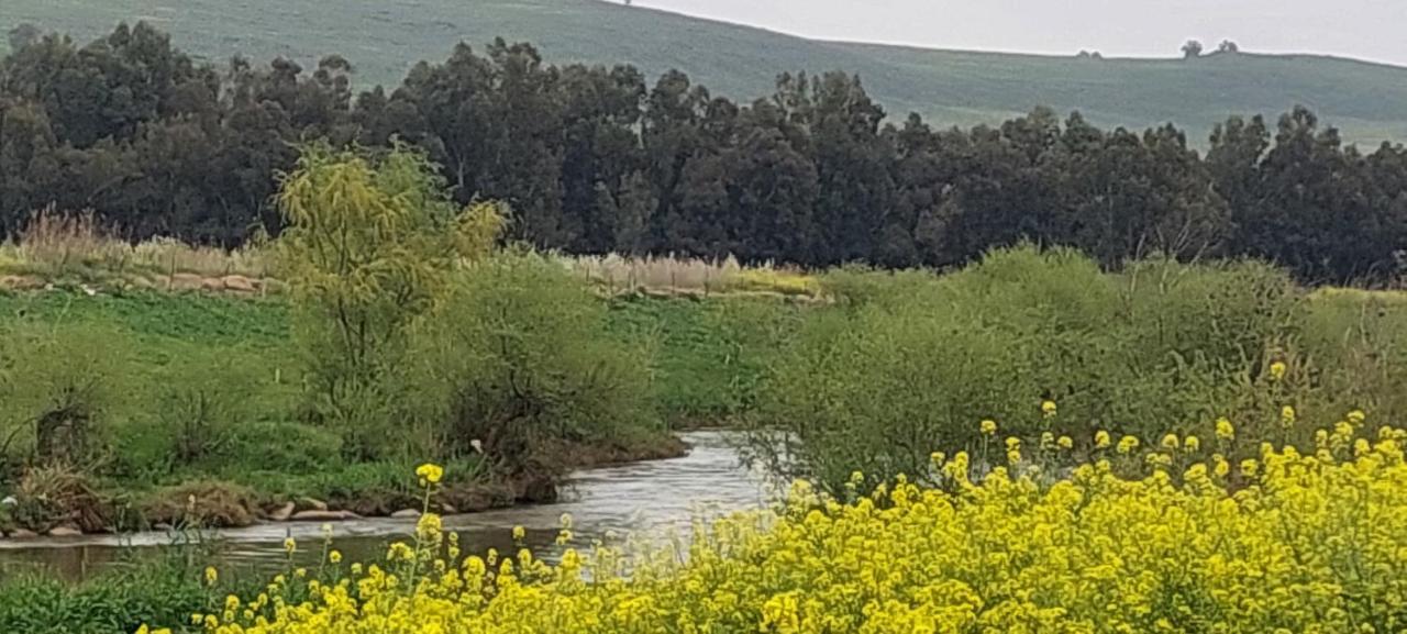 فيلا لاف&ليمونز يسود حمالة المظهر الخارجي الصورة